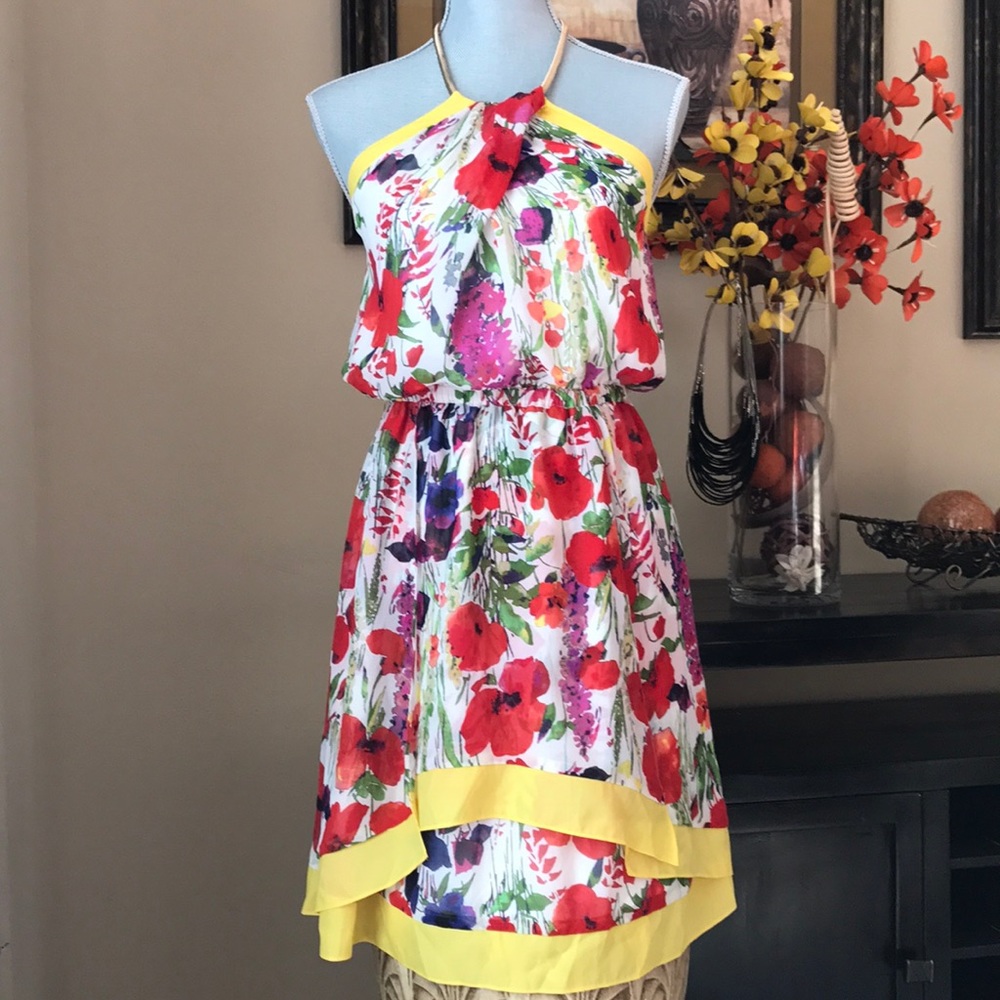 Jessica Simpson Spring Dress